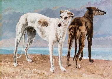 The Greyhounds