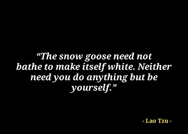 Lao Tzu quotes