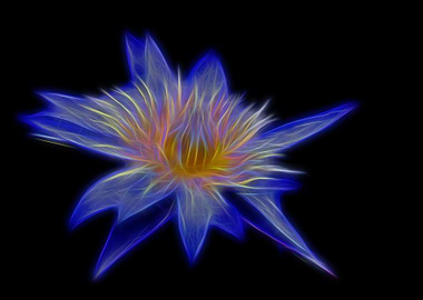 flower fractal