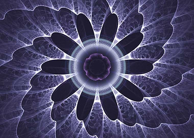 feathers blue purple