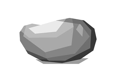 Mango Fruits Grayscale