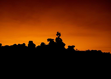 silhouette of nature