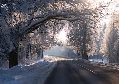 Winter road