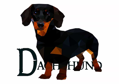 Dachshund