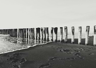 Black And White Beach