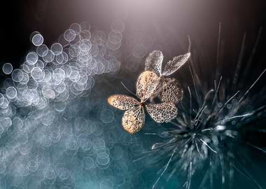 Macro hydrangea flower