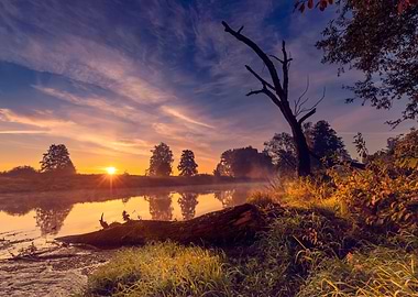 Autumn landscape by river