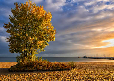 Sunrise On The Beach