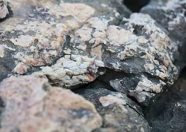Sea rock abstract close up