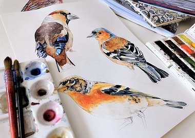 paint birds art color