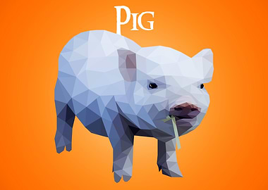 Pig
