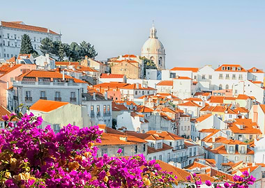 Lisbon Roofs