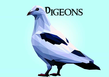Pigeon