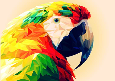 Macaw