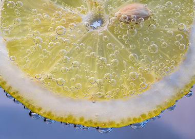 slice of lemon
