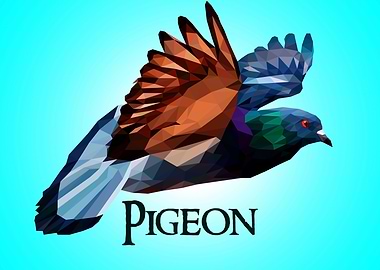 Pigeon