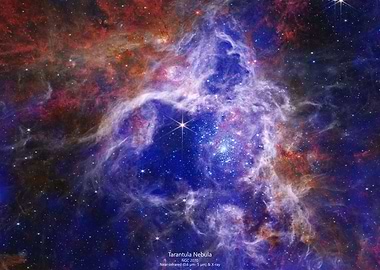 Tarantula Nebula
