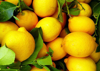 lemons