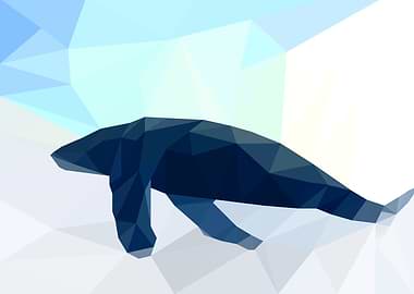 Whale