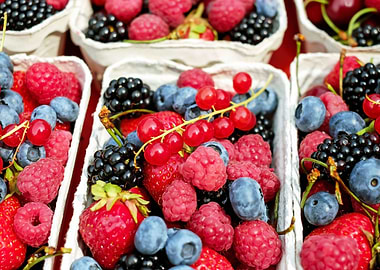 berries