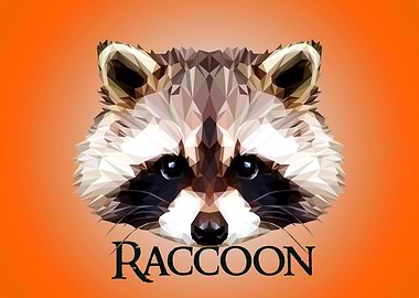 Raccoon