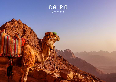 Cairo