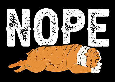 Nope Lazy English