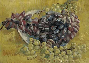 Still Life with Grapes