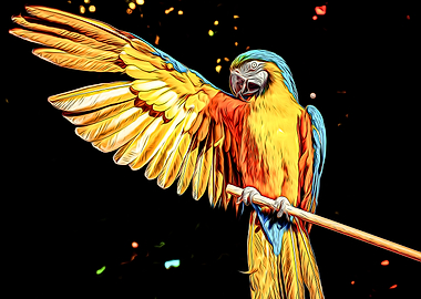 Parrot