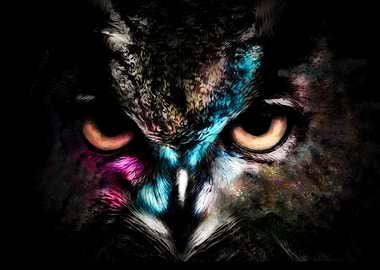 hibou color
