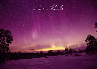 Aurora Borealis