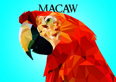 Macaw