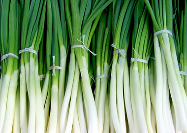 green onions