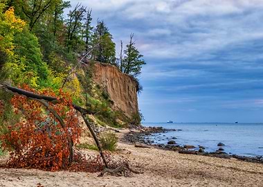 Baltic Sea Cliff In Gdynia