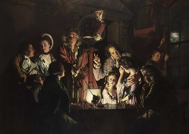 An Experiment on a Bird