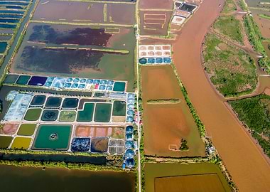 Colorful coastal fields
