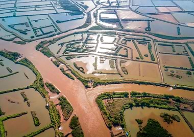 Xuan Thuy National Park