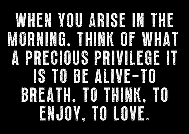 Marcus Aurelius Stoic