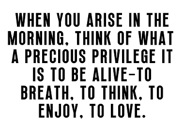 Marcus Aurelius Stoic