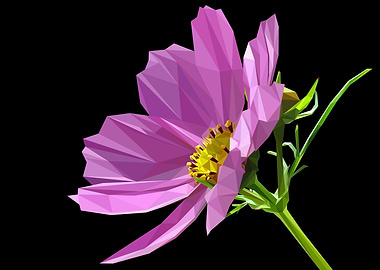 Garden Cosmos Abstract