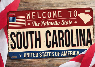 SOUTH CAROLINA PLATES