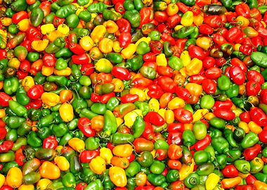 pepper colored