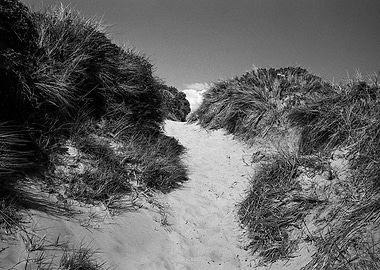 Troon Sand Dunes