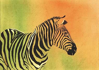 Zebra animal artwork