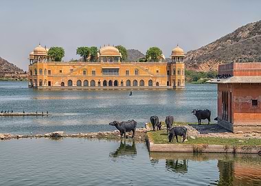 Jal Mahal