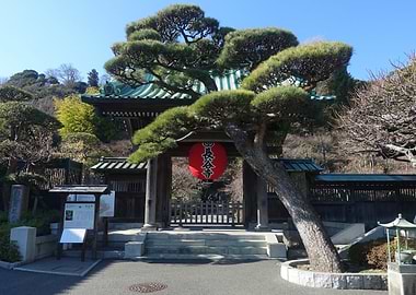 Welcome to Hasedera Temple