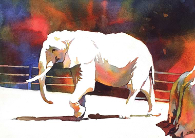 Elephant watercolor art