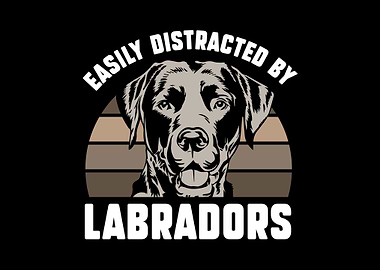 Labrador