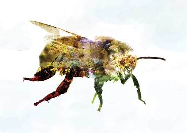 Bee Surrealism