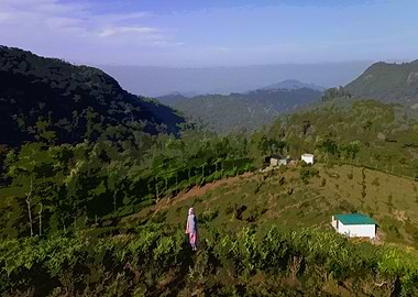 Mountain Scenario 11